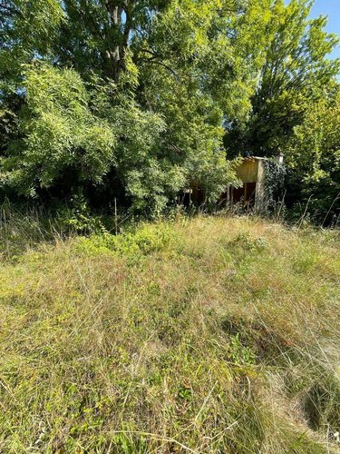 Terrains de loisirs bois etangs a vendre Bar-sur-Seine 10110 Aube 453 m2  53000 euros