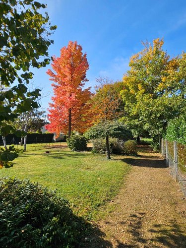 Maison a vendre Le Poinçonnet 36330 Indre 177 m2 4 pièces 189000 euros