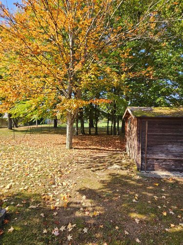 Maison a vendre Le Poinçonnet 36330 Indre 177 m2 4 pièces 189000 euros