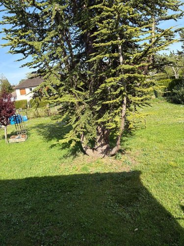 Maison a vendre Levroux 36110 Indre 96 m2 4 pièces 121900 euros