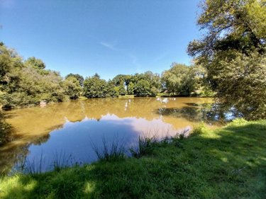 Terrains de loisirs bois etangs a vendre Drouges 35130 Ille-et-Vilaine 19234 m2  89800 euros