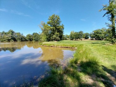 Terrains de loisirs bois etangs a vendre Drouges 35130 Ille-et-Vilaine 19234 m2  89800 euros