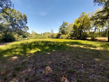 Terrains de loisirs bois etangs a vendre Drouges 35130 Ille-et-Vilaine 19234 m2  89800 euros