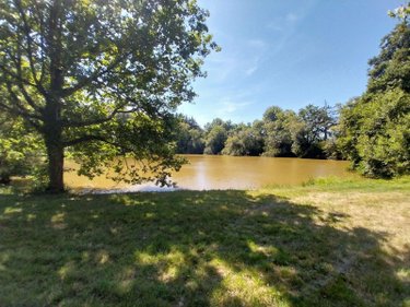 Terrains de loisirs bois etangs a vendre Drouges 35130 Ille-et-Vilaine 19234 m2  89800 euros