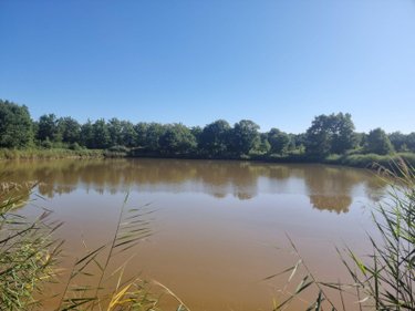 Terrains de loisirs bois etangs a vendre Veilleins 41230 Loir-et-Cher 25600 m2  79050 euros