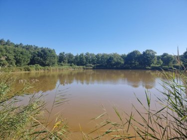 Terrains de loisirs bois etangs a vendre Veilleins 41230 Loir-et-Cher 25600 m2  79050 euros