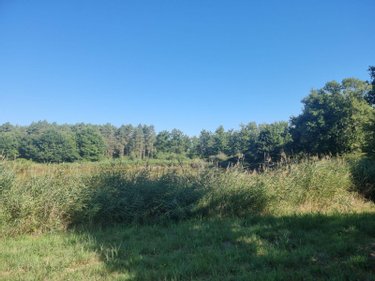 Terrains de loisirs bois etangs a vendre Veilleins 41230 Loir-et-Cher 25600 m2  79050 euros