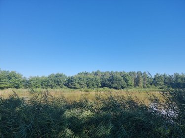 Terrains de loisirs bois etangs a vendre Veilleins 41230 Loir-et-Cher 25600 m2  79050 euros