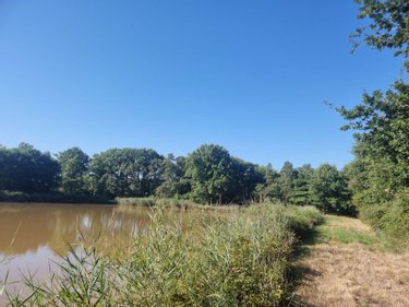 Terrains de loisirs bois etangs a vendre Veilleins 41230 Loir-et-Cher 25600 m2  79050 euros