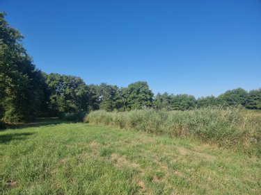 Terrains de loisirs bois etangs a vendre Veilleins 41230 Loir-et-Cher 25600 m2  79050 euros