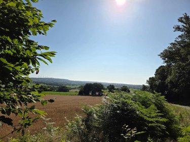 Terrains de loisirs bois etangs a vendre Le Ham 53250 Mayenne 10390 m2  5880 euros