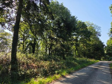 Terrains de loisirs bois etangs a vendre Le Ham 53250 Mayenne 10390 m2  5880 euros