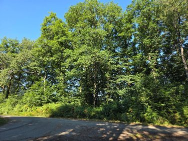Terrains de loisirs bois etangs a vendre Le Ham 53250 Mayenne 10390 m2  5880 euros