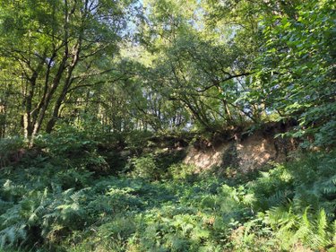 Terrains de loisirs bois etangs a vendre Le Ham 53250 Mayenne 10390 m2  5880 euros