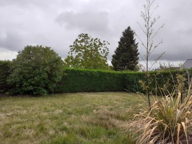 Location maison Taillis 35500 Ille-et-Vilaine 3 pièces 450 euros