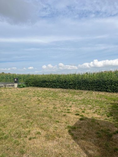 Location maison Steenvoorde 59114 Nord 107 m2 3 pièces 1025 euros