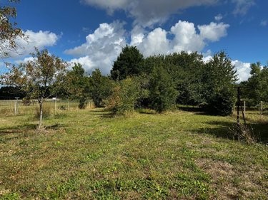 Maison a vendre Cinais 37500 Indre-et-Loire 85 m2 5 pièces 159900 euros