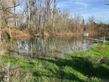 Maison a vendre Buzançais 36500 Indre 60 m2 2 pièces 64800 euros