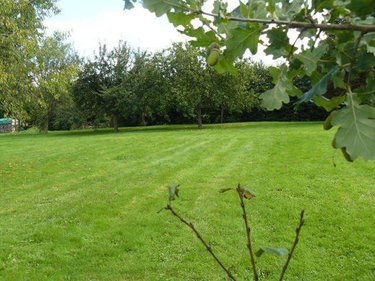 Maison a vendre Ménil-sur-Belvitte 88700 Vosges 145 m2 7 pièces 249600 euros