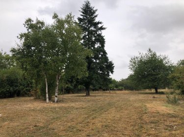 Maison a vendre Neuvy-Pailloux 36100 Indre 102 m2  97520 euros