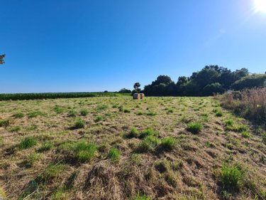 Terrain a batir a vendre Lannebert 22290 Côtes-d'Armor 1146 m2  69200 euros