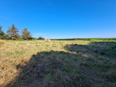 Terrain a batir a vendre Lannebert 22290 Côtes-d'Armor 1146 m2  69200 euros