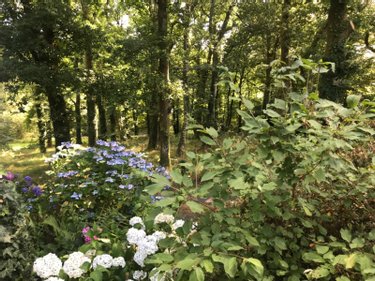Maison a vendre Châteauneuf-du-Faou 29520 Finistère 113 m2  177650 euros