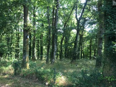 Maison a vendre Châteauneuf-du-Faou 29520 Finistère 113 m2  177650 euros