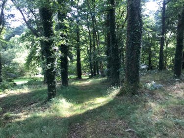 Maison a vendre Châteauneuf-du-Faou 29520 Finistère 113 m2  177650 euros