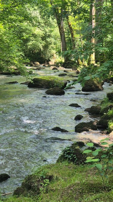 Terrains de loisirs bois etangs a vendre Gorron 53120 Mayenne 16200 m2  105280 euros
