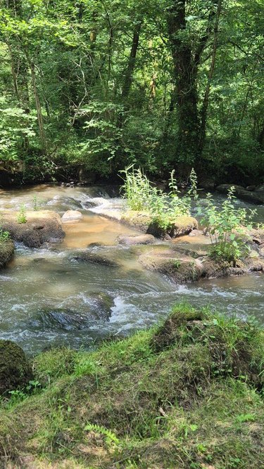 Terrains de loisirs bois etangs a vendre Gorron 53120 Mayenne 16200 m2  105280 euros