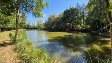 Terrains de loisirs bois etangs a vendre Gorron 53120 Mayenne 16200 m2  105280 euros