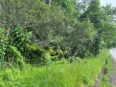 Terrain a batir a vendre Moëlan-sur-Mer 29350 Finistère 642 m2  42880 euros