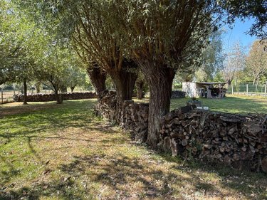 Maison a vendre Sercus 59173 Nord 172 m2 6 pièces 297125 euros