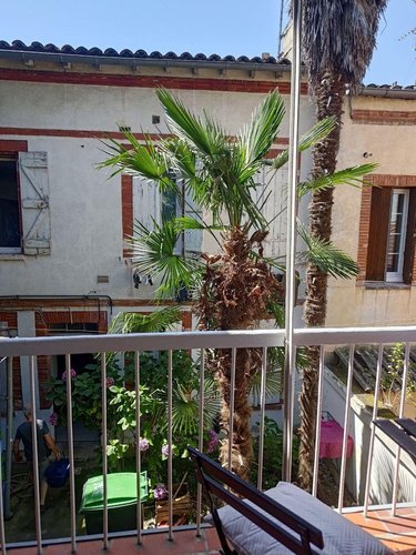 Appartement a vendre Toulouse 31000 Haute-Garonne 38 m2 3 pièces 146900 euros