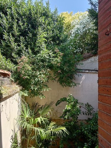 Appartement a vendre Toulouse 31000 Haute-Garonne 38 m2 3 pièces 146900 euros