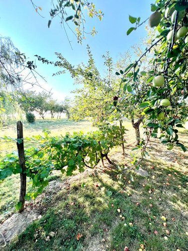 Maison a vendre Écueillé 36240 Indre 126 m2 7 pièces 144450 euros
