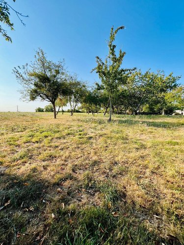 Maison a vendre Écueillé 36240 Indre 126 m2 7 pièces 144450 euros