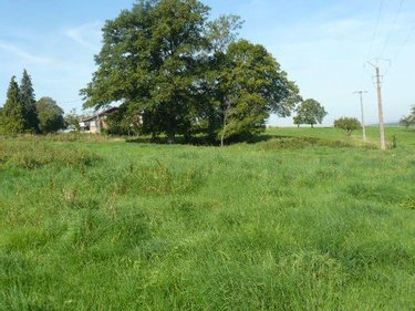 Terrain a batir a vendre Sainte-Barbe 88700 Vosges 2000 m2  40000 euros