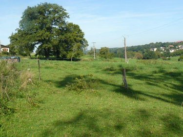 Terrain a batir a vendre Sainte-Barbe 88700 Vosges 2000 m2  40000 euros