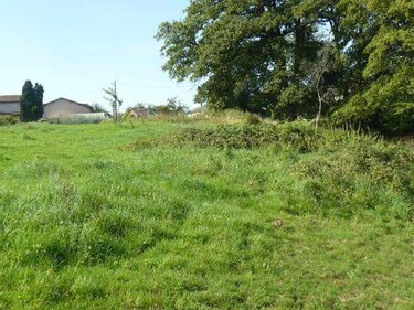 Terrain a batir a vendre Sainte-Barbe 88700 Vosges 2000 m2  40000 euros