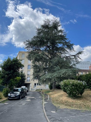 Appartement a vendre Périgueux 24000 Dordogne 91 m2 3 pièces 265000 euros