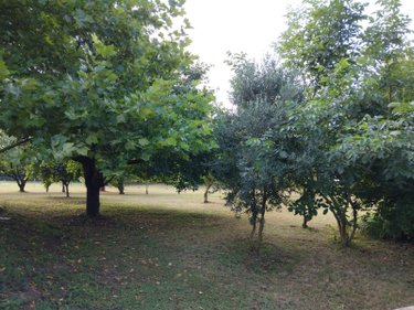 Maison a vendre Mayet 72360 Sarthe 74 m2 8 pièces 54800 euros