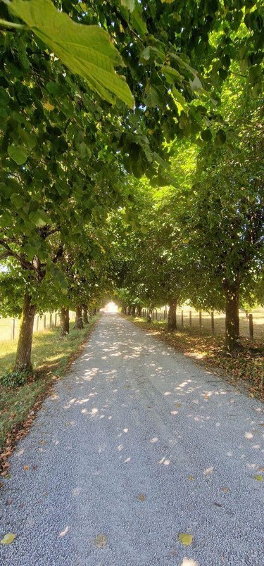 Maison a vendre Louhans 71500 Saône-et-Loire 153 m2 5 pièces 247400 euros