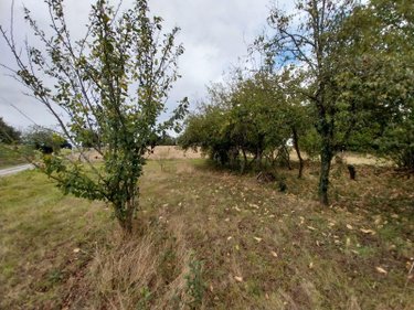 Maison a vendre Marpiré 35220 Ille-et-Vilaine 61 m2 3 pièces 125280 euros