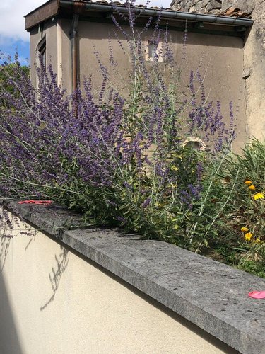 Maison a vendre Boviolles 55500 Meuse 192 m2 4 pièces 152000 euros