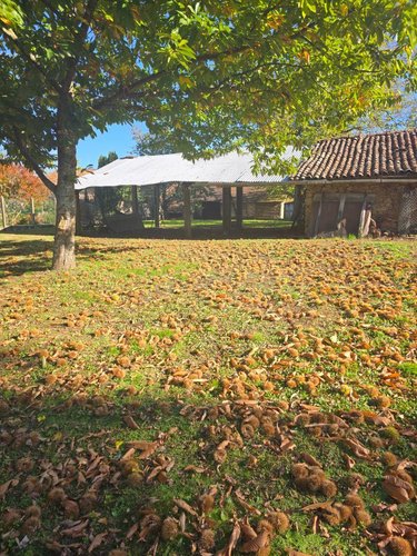 Maison a vendre Ambazac 87240 Haute-Vienne 101 m2 5 pièces 95400 euros