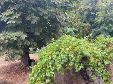 Maison a vendre Issoudun 36100 Indre 164 m2 5 pièces 363656 euros