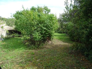 Terrain a batir a vendre Tercé 86800 Vienne 1000 m2  40600 euros