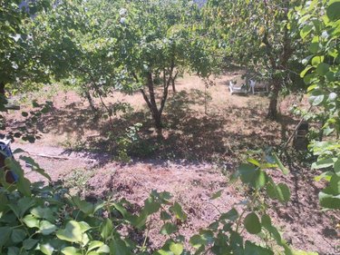 Maison a vendre Bessines 79000 Deux-Sèvres 69 m2 4 pièces 148040 euros